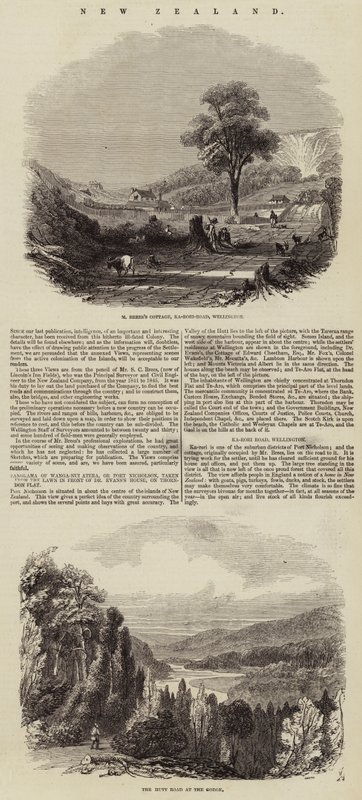 Nouvelle-Zélande (gravure) - English School