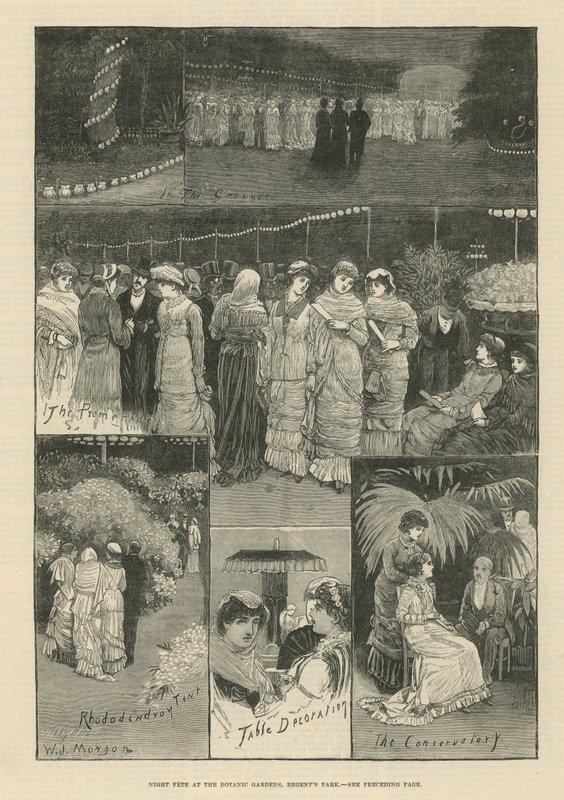 Fête nocturne aux jardins botaniques - English School