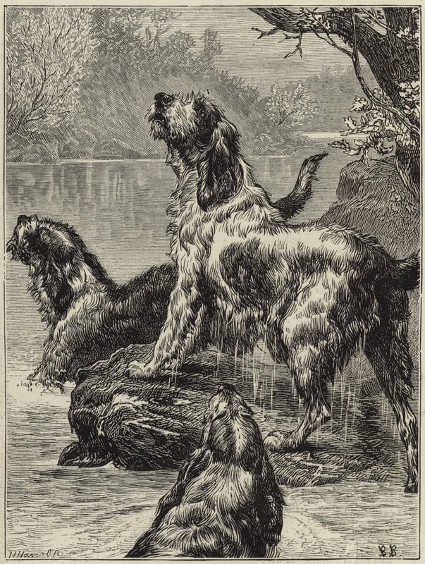 Chasse à la loutre dans le nord - English School