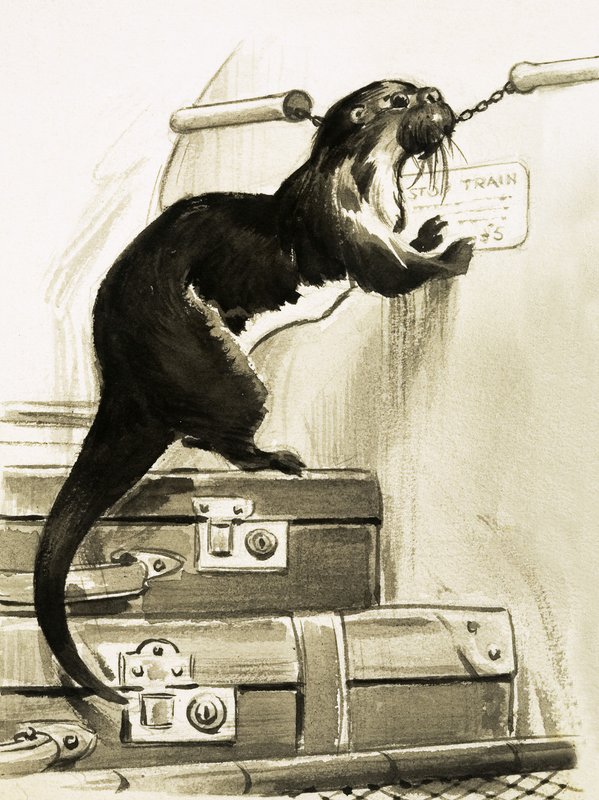 Loutre arrêtant le train - English School