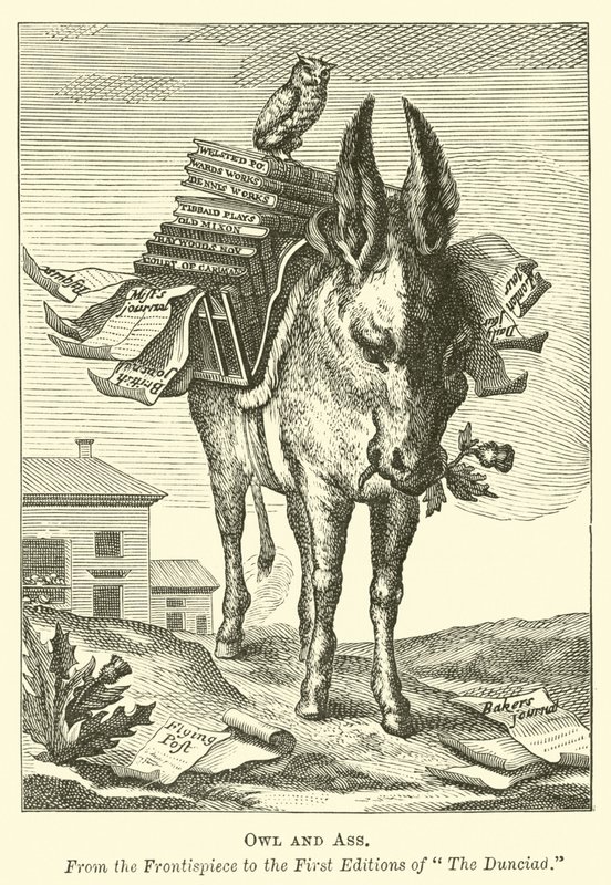 Chouette et âne - English School