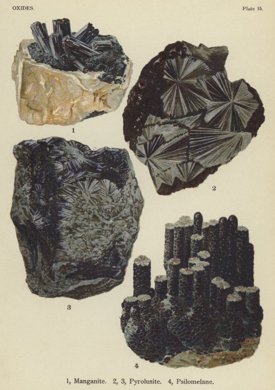 Oxydes, manganite, pyrolusite, psilomélane (lithographie en couleur) - English School