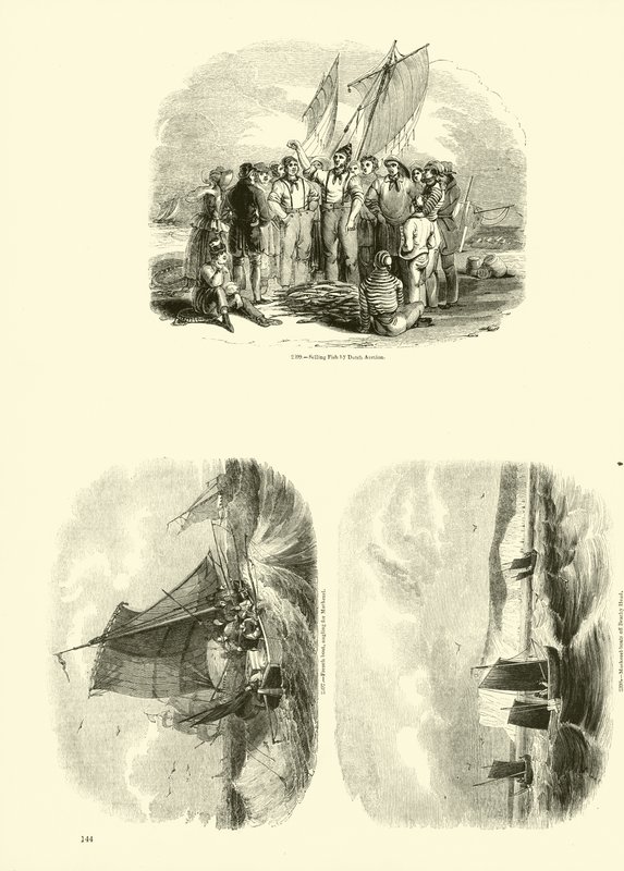 Page du Musée Pictural de la Nature Animée - English School