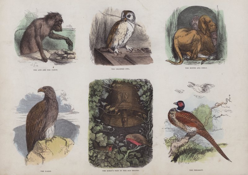 Page du Livre d