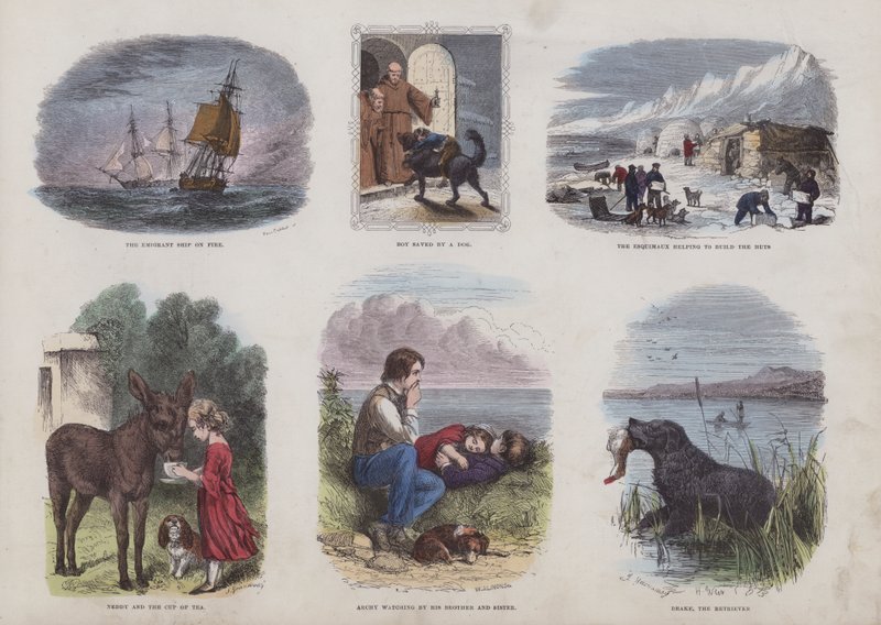 Page du Livre d