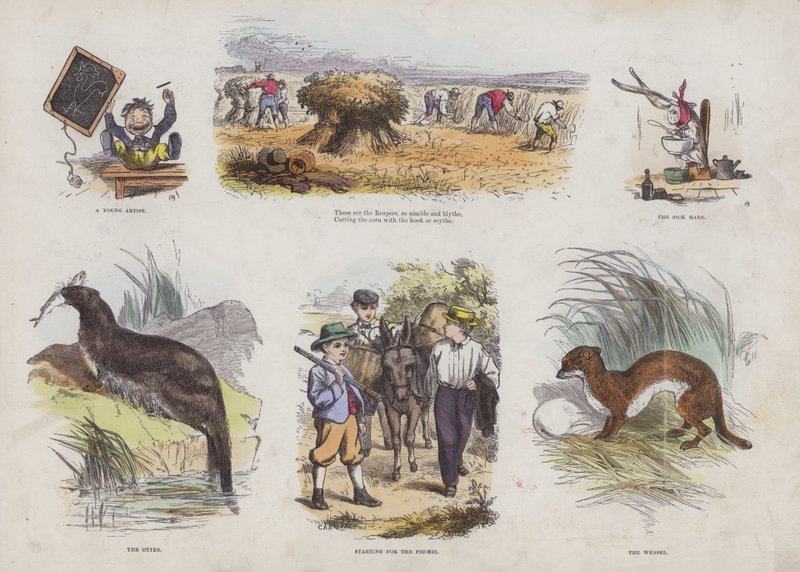 Page du Livre d