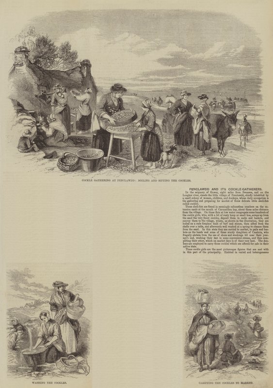 Penclawdd et ses ramasseurs de coques (gravure) - English School