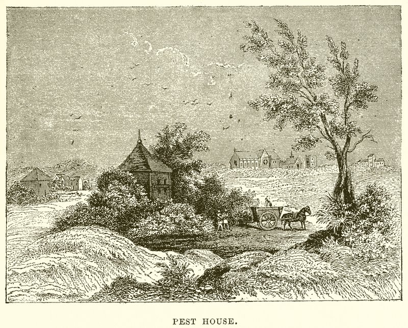 Pest House - English School