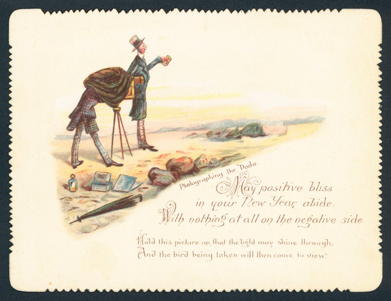 Photographier le dodo - English School
