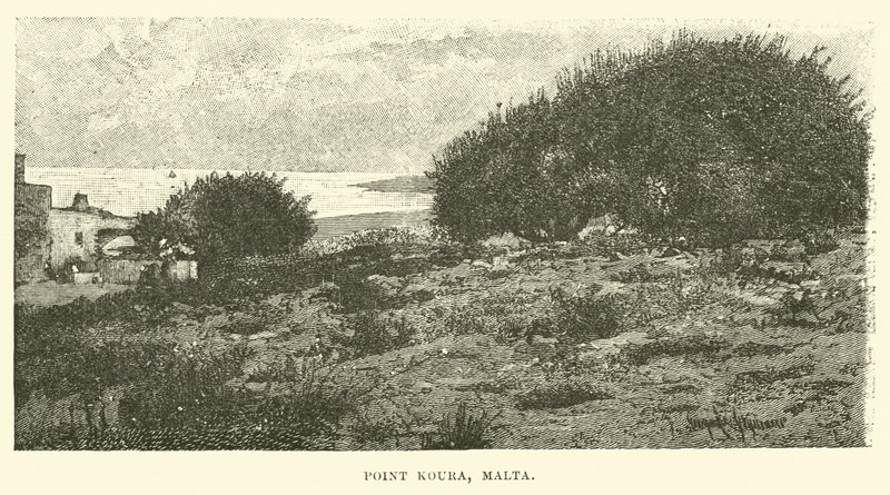 Point Koura, Malte - English School