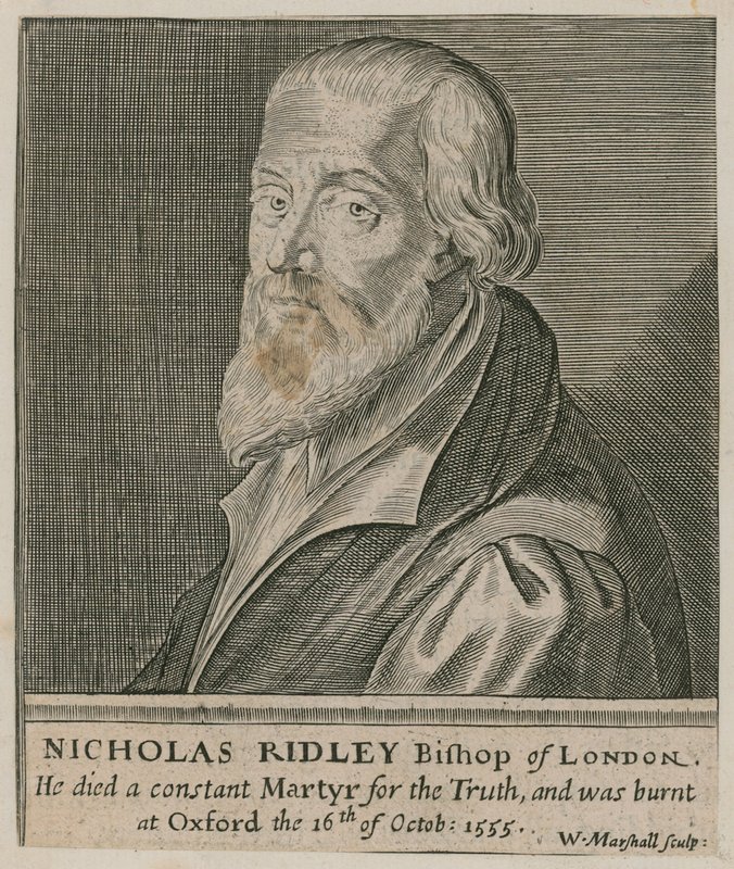 Portrait de Nicholas Ridley - English School