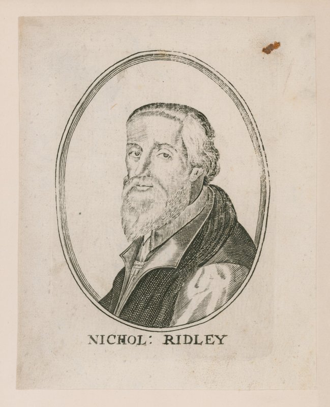 Portrait de Nicholas Ridley - English School