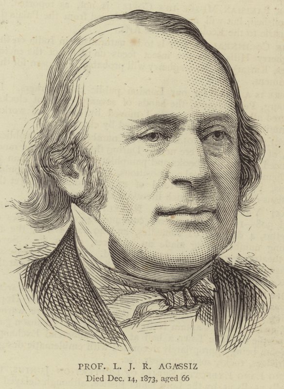 Professeur L J R Agassiz (gravure) - English School