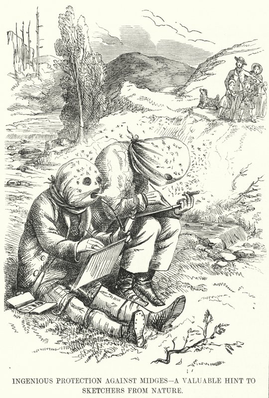 Protection Ingénieuse contre les Moucherons - un Conseil Précieux pour les Dessinateurs de Nature - English School