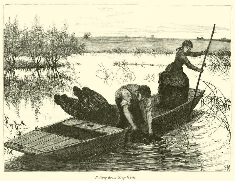Pose de pièges à anguilles - English School