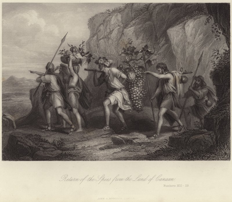 Retour des espions du pays de Canaan - English School
