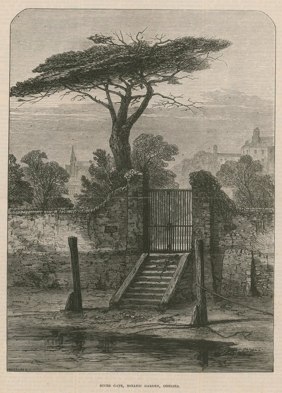 Porte fluviale du Jardin botanique - English School