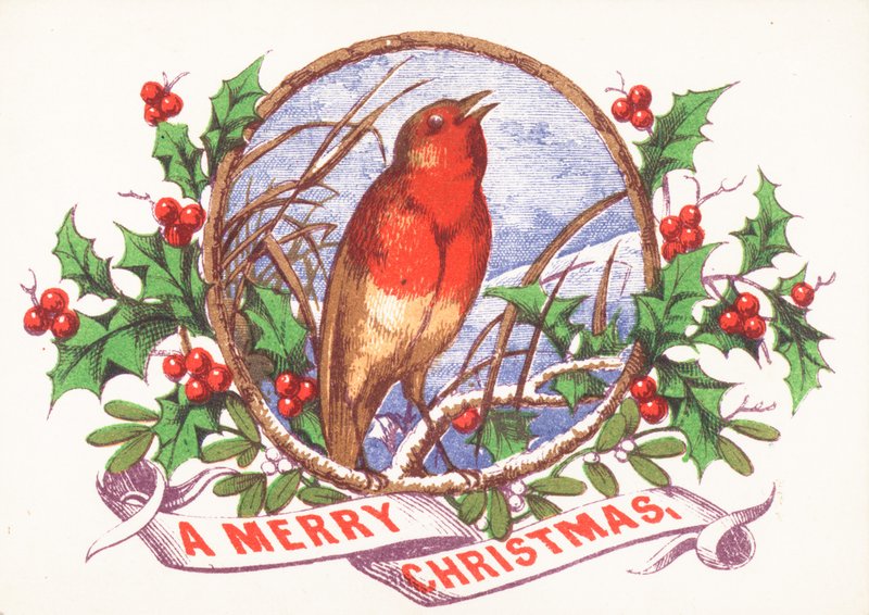 Rouge-gorge chantant sur une branche, carte de Noël - English School