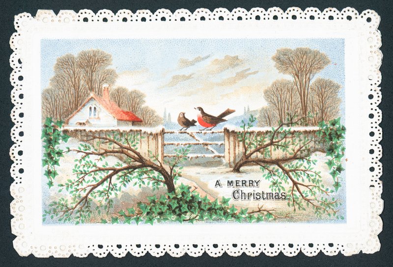 Rouges-gorges assis sur une barrière - English School
