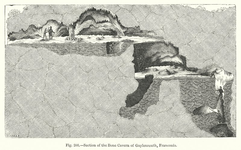 Section de la caverne osseuse de Gaylenreuth, Franconie - English School