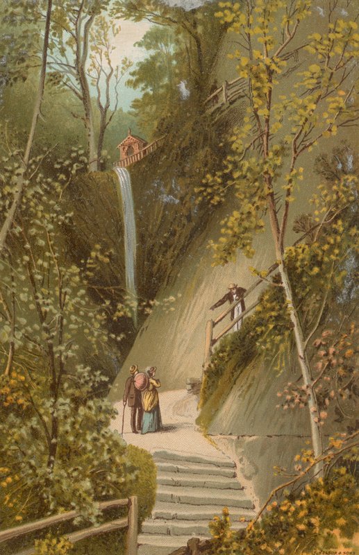Shanklin Chine--Île de Wight - English School