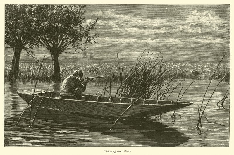 Chasse à la loutre - English School