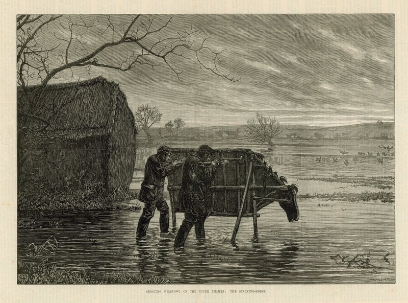 Chasse aux oiseaux sauvages sur la haute Tamise : Le cheval de traque - English School