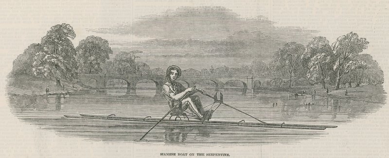 Bateau siamois sur la Serpentine, Hyde Park, Londres - English School