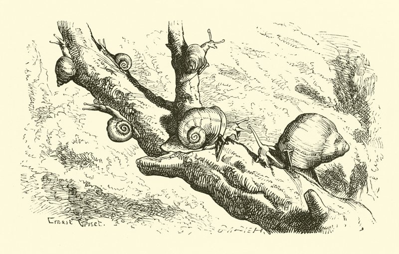 Six petits escargots - English School