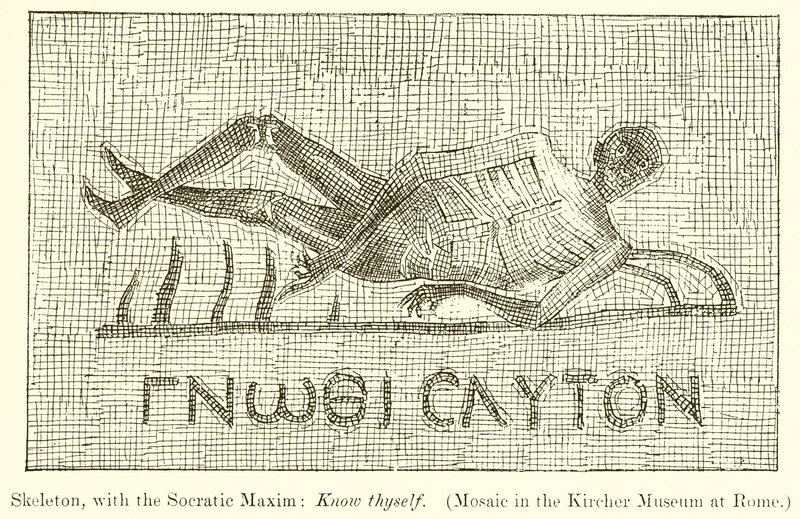 Squelette, avec la maxime socratique : Connais-toi toi-même (Mosaïque au Musée Kircher à Rome) - English School