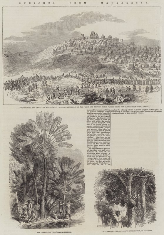 Croquis de Madagascar (gravure) - English School