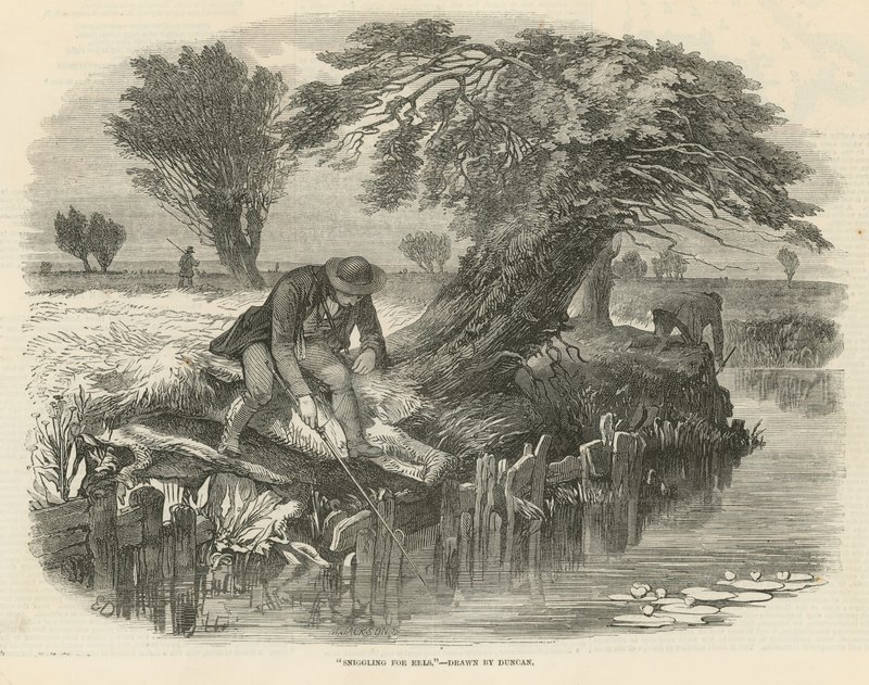 Pêche à l