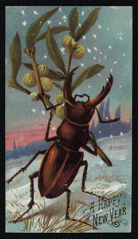 Scarabée portant du gui dans un paysage hivernal, carte de vœux de Noël - English School
