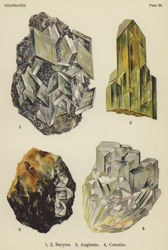 Sulfates, barytine, anglesite, célestine (lithographie en couleur) - English School