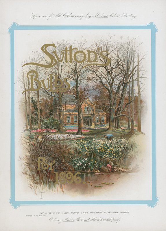 Bulbes de Sutton pour 1896 - English School