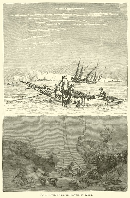 Pêcheurs d