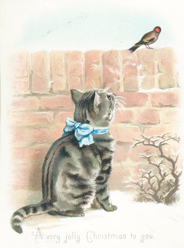 Chat tigré regardant un pinson sur le mur, Carte de Noël - English School