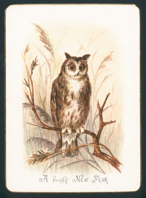 Chouette hulotte, Carte de Nouvel An - English School