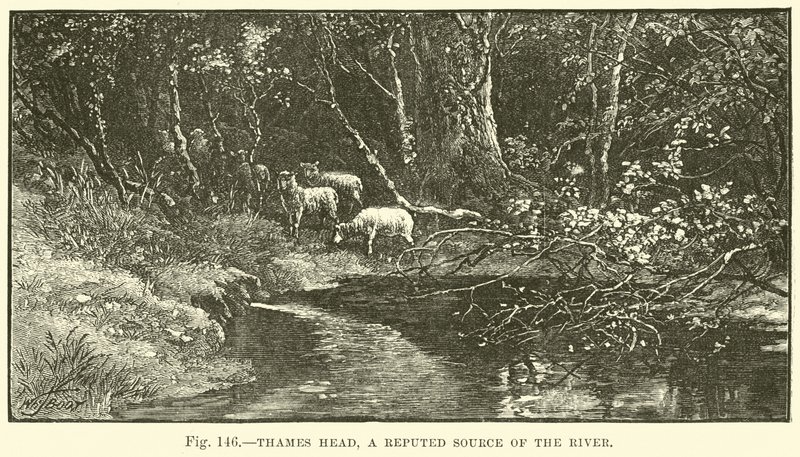Source de la Tamise, une source réputée de la rivière - English School