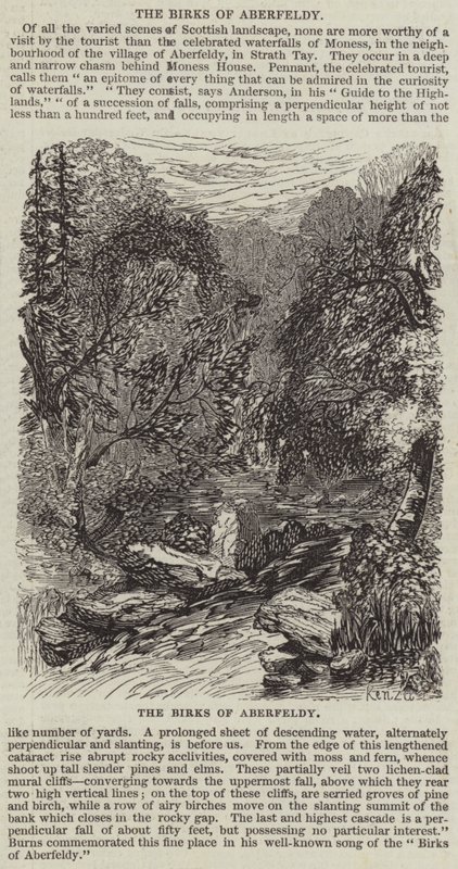 Les Bouleaux d