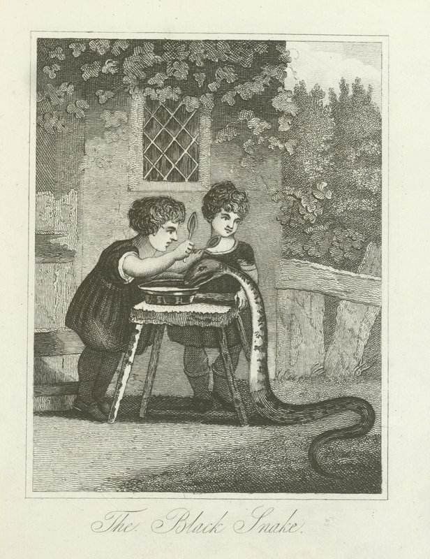 Le serpent noir - English School