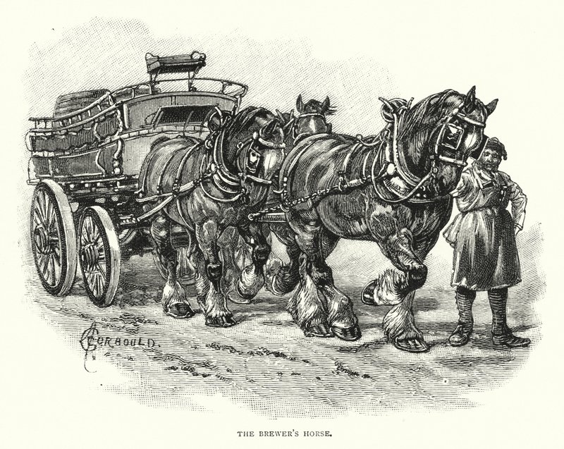 Le cheval du brasseur (gravure) - English School