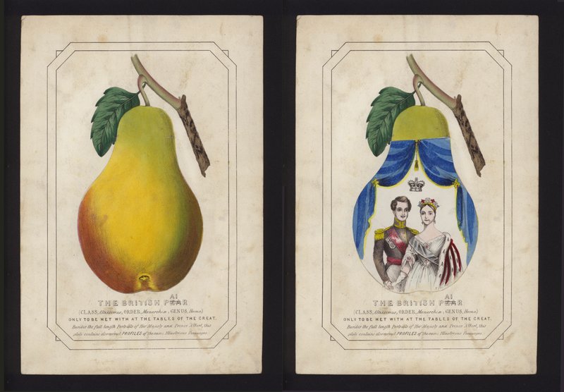 Le couple britannique, la reine Victoria et Albert, prince consort - English School