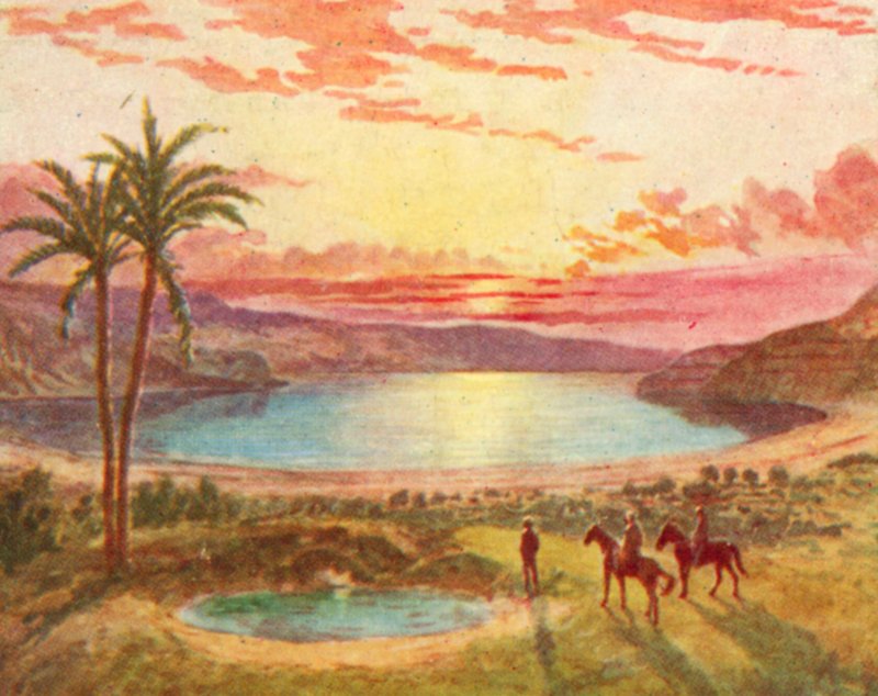 La mer Morte - English School