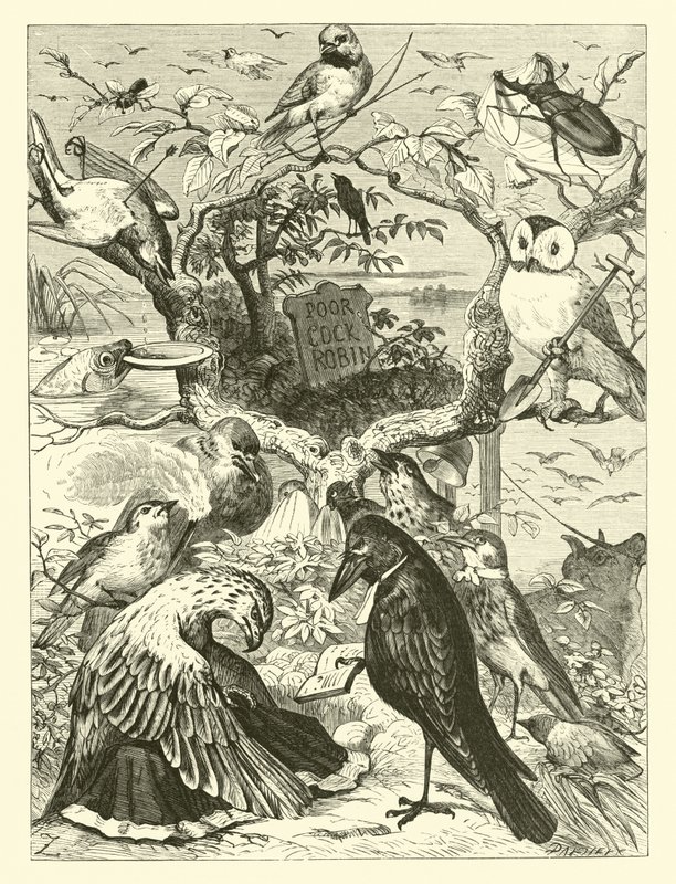La mort et l