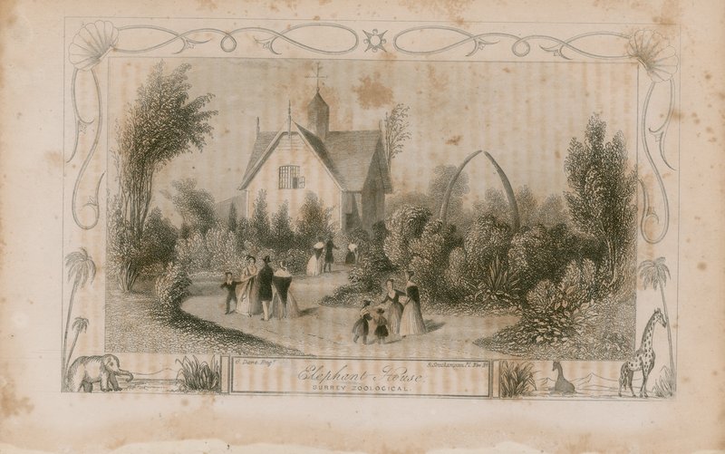 La maison des éléphants - English School