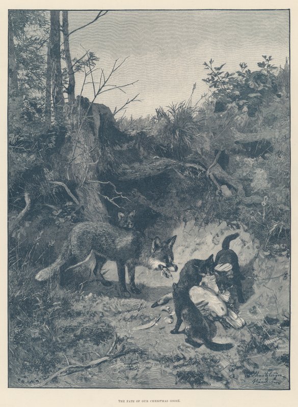 Le destin de notre oie de Noël (gravure) - English School