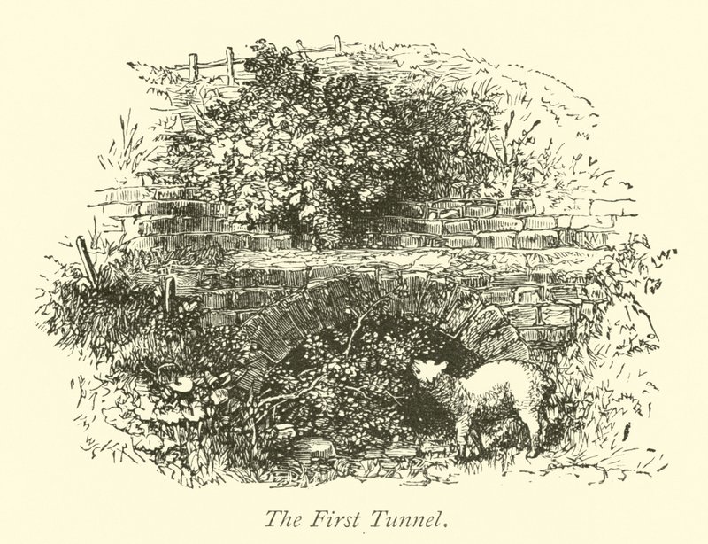 Le Premier Tunnel - English School