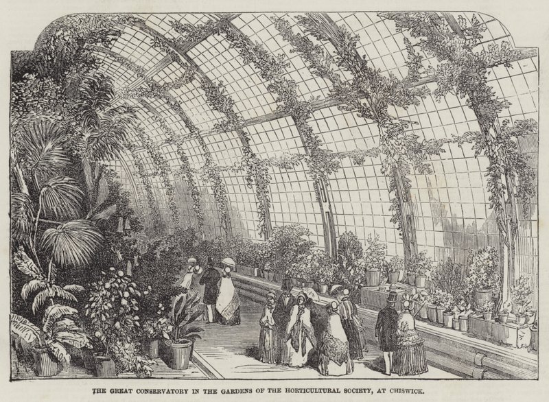 La grande serre dans les jardins de la Société horticole, à Chiswick (gravure) - English School