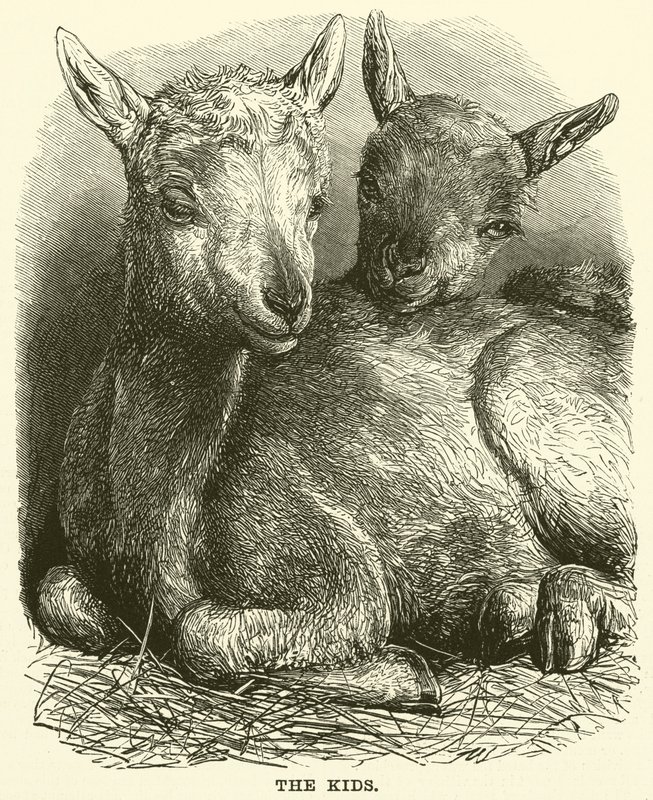 Les enfants (gravure) - English School
